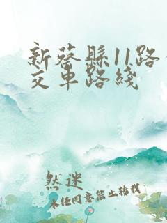 新蔡县11路公交车路线