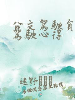 公交驾驶员安全驾驶心得