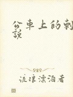 公车上的刺激小说