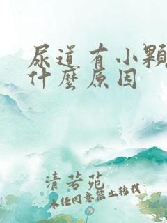 尿道有小颗粒是什么原因