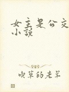 女主是公交车的小说