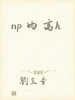 np 肉 高h