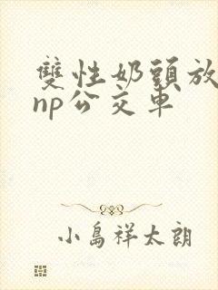 双性奶头放荡受np公交车