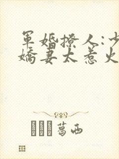 军婚撩人:少将娇妻太惹火