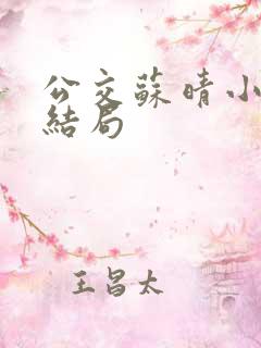 公交苏晴小说大结局