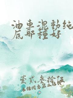 油车混动纯电到底哪种好