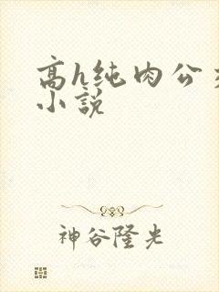 高h纯肉公交车小说