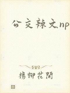 公交辣文np