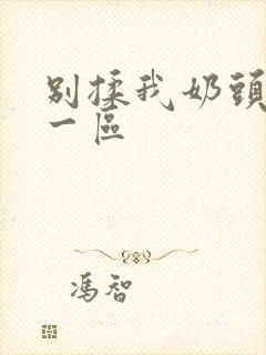 别揉我奶头嗯啊一区