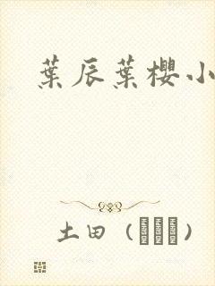 叶辰叶樱小说