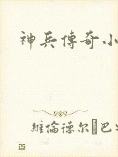 神兵传奇小说