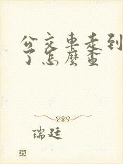 公交车走到哪里了怎么查