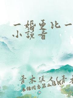 一婚更比一婚高小说看
