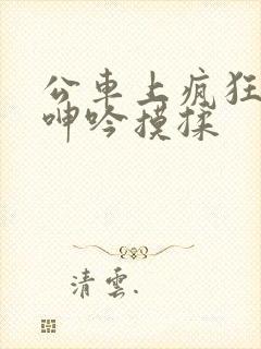 公车上疯狂高潮呻吟摸揉