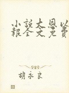 小说大恩以婚为报全文免费阅读