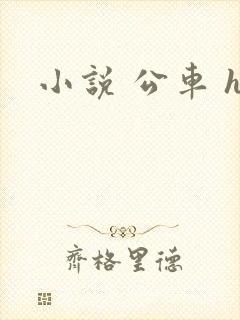 小说 公车 h