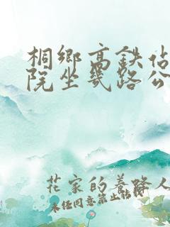 桐乡高铁站到濮院坐几路公交车