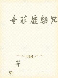 童菲废柴兄弟