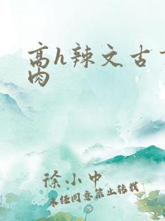 高h辣文古言纯肉