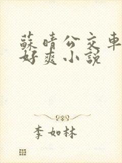 苏晴公交车被强好爽小说