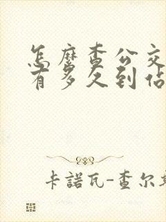 怎么查公交车还有多久到站