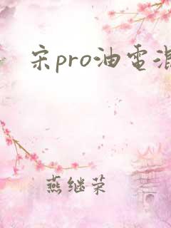 宋pro油电混