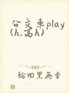 公交车play(h,高h)