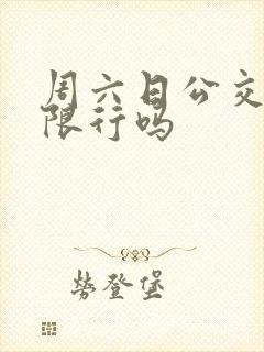 周六日公交车道限行吗