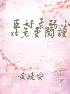 臣好柔弱小说txt免费阅读