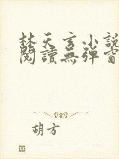 林天玄小说免费阅读无弹窗