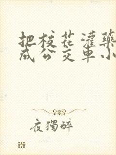 把校花灌药调教成公交车小说
