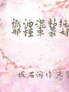 燃油混动纯电买哪种车最好