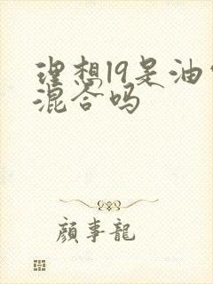 理想l9是油电混合吗