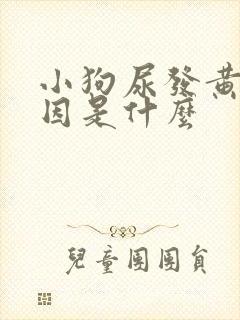 小狗尿发黄的原因是什么