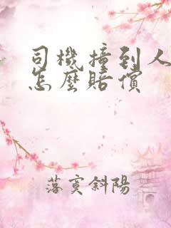 司机撞到人全责怎么赔偿