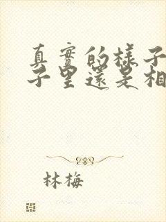 真实的样子是镜子里还是相机里