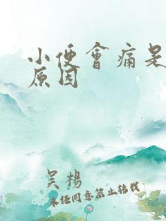 小便会痛是什么原因
