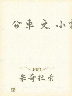 公车 文 小说