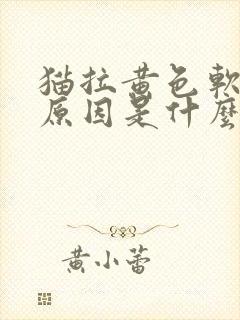 猫拉黄色软便的原因是什么