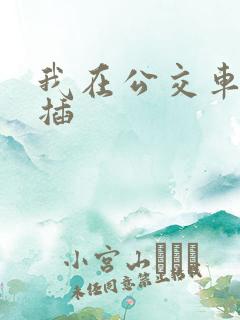 我在公交车上被插
