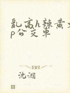 乱高h辣黄文np公交车