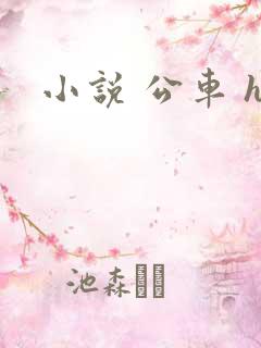 小说 公车 h