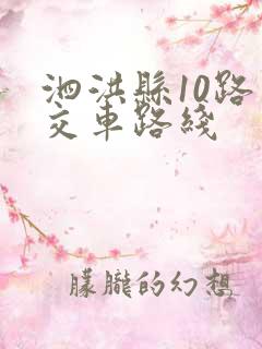 泗洪县10路公交车路线