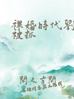 裸婚时代刘易阳被抓