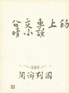 公交车上的诗请晴小说