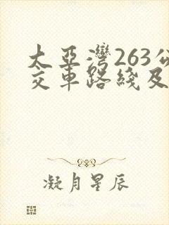 大亚湾263公交车路线及时间表公交