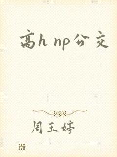 高h np公交