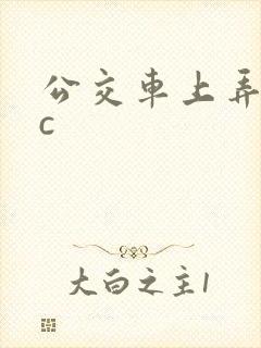 公交车上弄到高c