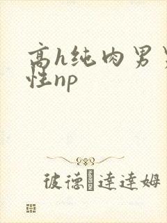 高h纯肉男男双性np