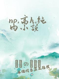 np,高h,纯肉小说